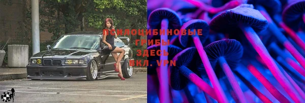 таблы Богданович