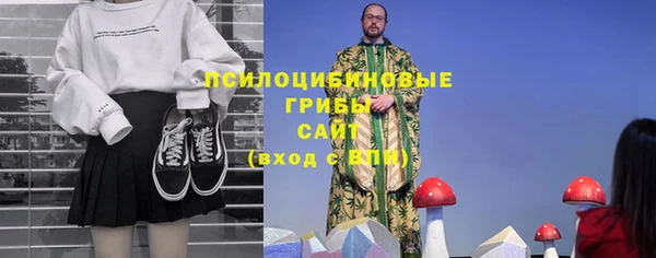 PSILOCYBIN Беломорск